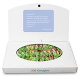 Candybox. Soy tu follower favorito. Contigo hasta el infinito. SIN GLUTEN