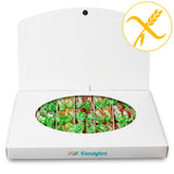 Candybox. Soy tu follower favorito. Contigo hasta el infinito. SIN GLUTEN